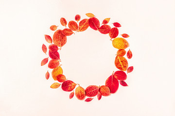 Obraz premium Bright, red leaves on a pastel background