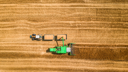 Fototapeta na wymiar Combine drop the grain onto the tractor trailer, aerial view