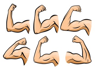 Cartoon hand muscle. Strong arm, boxer arms muscles and strength hands hard gym. Arm fitness guy hand, body muscle flexing or strong biceps logo. Isolated vector illustration icons set