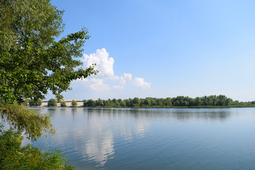 View of the lake and green foliage. Landscape.
