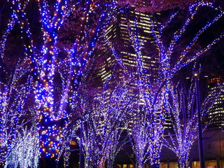 都市の夜景　クリスマスイルミネーション　横浜