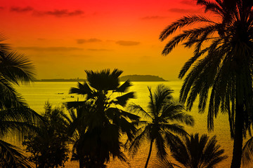 Fototapeta na wymiar Silhouettes of coconut palm trees facing the Island of Gorée, view from Dakar, Senegal