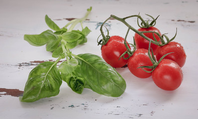 tomatoes and basilic