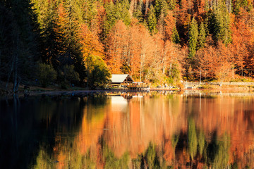 Colorful autumn foliage at the alpine lake