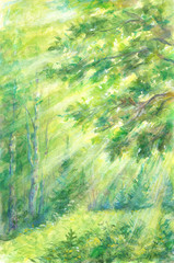 Fototapeta na wymiar Sun beams in forest - watercolor landscape painting