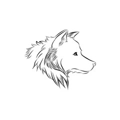 hand drawn wolf