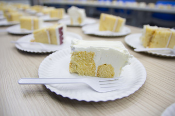 Piece of cream cake on plate