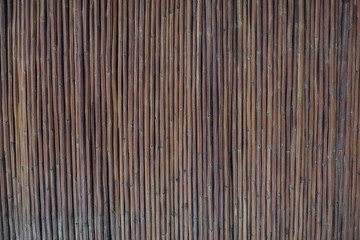 テクスチャ―　茅（萱）　texture of thatch