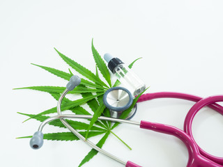 Fototapeta na wymiar Medical marijuana, oil bottle and stethoscope isolate on white background. Green leaves of cannabis.Green leaf tree.Natural plant pharmaceutical production for alternative medicine concept.