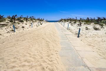 Pathway in the dunes of Barril beach (Praia do Barril), a popular tourist destination for the  Anchors Cemetery, Tavira, Algarve, Portugal
