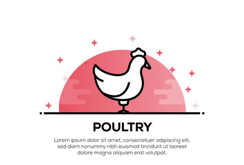 POULTRY ICON CONCEPT © relif