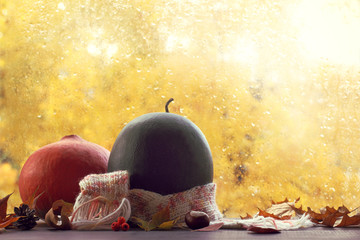 pumpkin and watermelon on a table strewn with autumn leaves against a window with raindrops. cozy still life