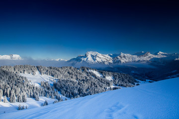 Beautiful view of mountains and snowy fir trees in wintertime.