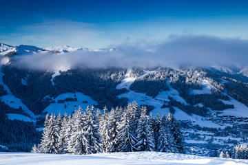 Beautiful view of mountains and snowy fir trees in wintertime.