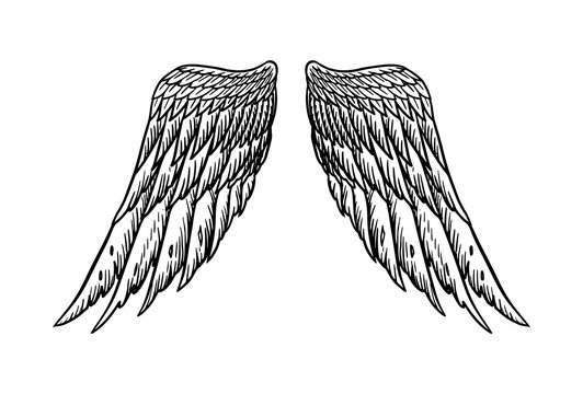 Angel wing in vintage style. Template for tattoo and emblems, t-shirts and logo. Emblem for stickers. Engraved sketch. Vector illustration.