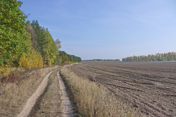Fototapeta na wymiar Autumn landscape of the suburban forests and fields of the city Zaraysk