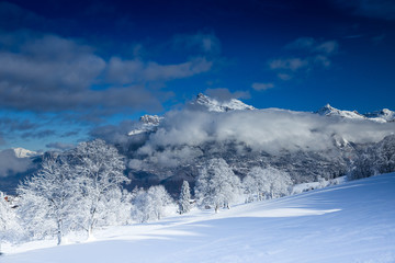 Fototapeta na wymiar Beautiful view Mountains and Fir Trees in wintertime. 