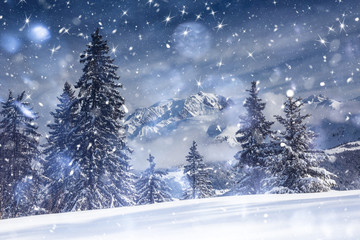Obraz premium Beautiful view of Mountains and Fir Trees in wintertime. 