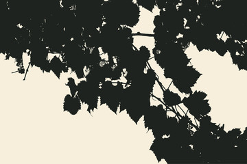 Grape leaf silhouette background. vector illustration