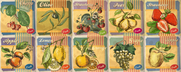 Set von handgezeichneten Illustrationen von frischen Früchten für Retro-Poster. Apfel, Zitrone, Erdbeere, Pfirsich. © Eva Kali