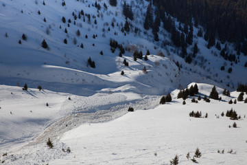 Fototapeta na wymiar Avalanche in the alps
