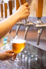beer tap in bar and cold refreshment for adult alcohol after work