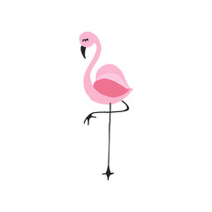 flamingo vector illustration
