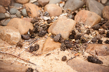 Stones cones and sand. Beach photo background. Wild beach