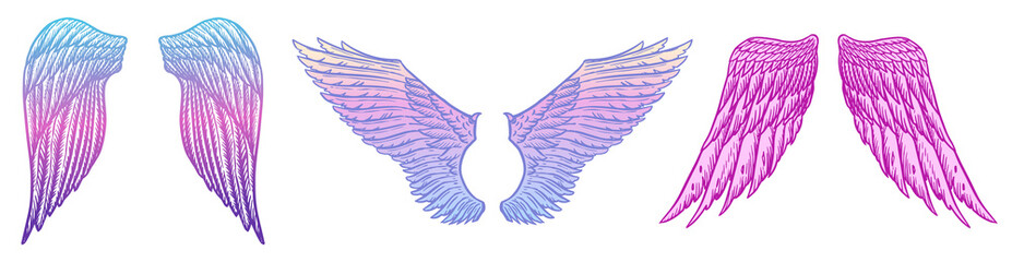 Angel wings in vintage style. Template for tattoo and emblems, t-shirts and logo. Colorful emblem for stickers. Engraved sketch. Vector illustration.