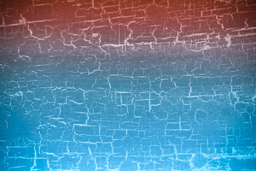 old tree blank background image