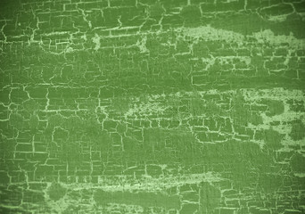 old tree blank background image