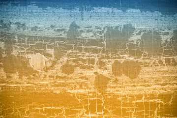 old tree blank background image