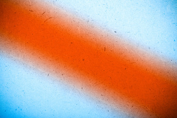 old tree blank background image