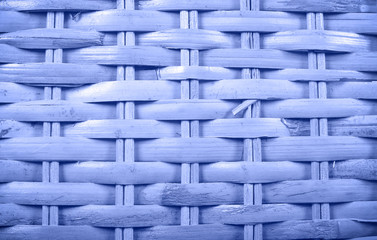 old tree blank background image