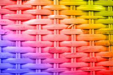 old tree blank background image