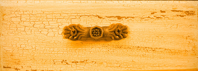 old tree blank background image