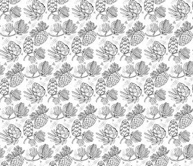 Seamless vector pattern with pine cones, conifer cones and cedar. Hand drawn vector black and white illustration. Forest vintage style. Design elements for card holiday