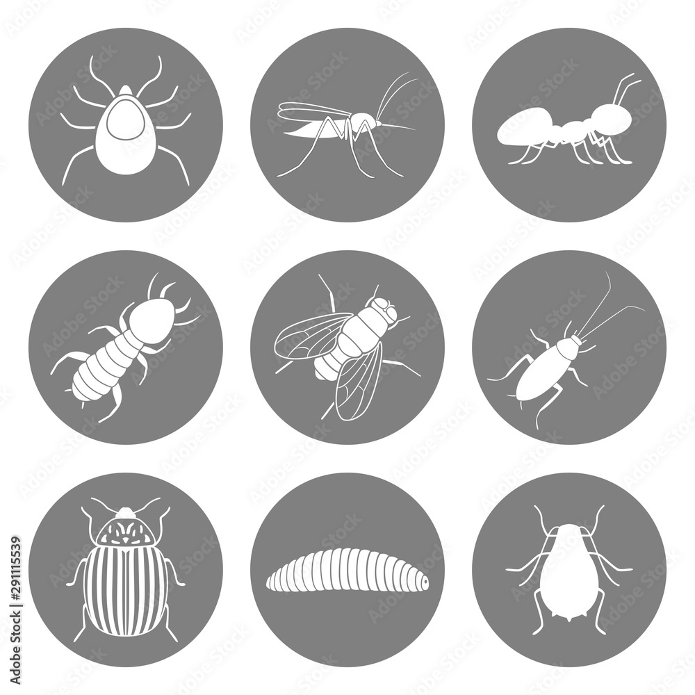 Poster Set of insect icons. Pest symbols. Vector.