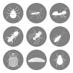 Set of insect icons. Pest symbols. Vector.