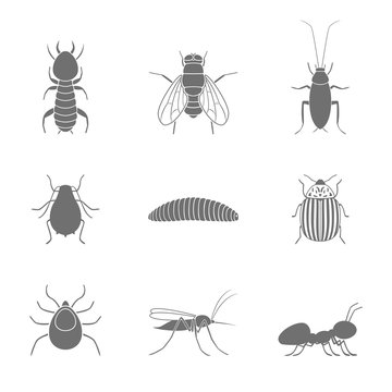 Set of insect silhouettes. Vector illustration.