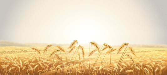 Rural autumn landscape with fields and ears of wheat in the foreground. Raster illustration.