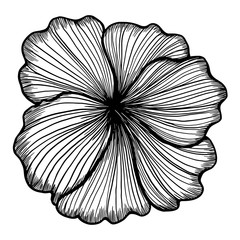 vector illustration flower