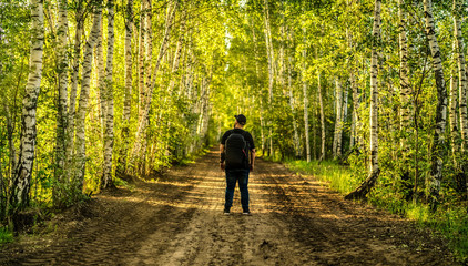 Silhouette of a man standing on the long road in the green forest
