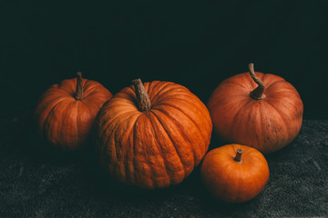 Photo from above of four orange pumpkins on black background, halloween celebration