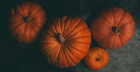 Photo from above of four orange pumpkins on black background, halloween celebration