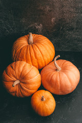 Photo of four orange pumpkins on black background, halloween celebration.