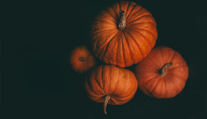 Photo from above of four orange pumpkins on black background, halloween celebration