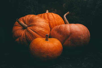 Photo of four orange pumpkins on black background, halloween celebration, space for inscription.