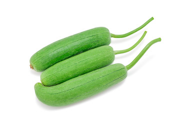 Fresh gourd,  Luffa, Sponge gourd or Vegetable sponge isolated on white background with clipping path. Selective focus.