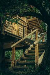Wooden cottage at the forest